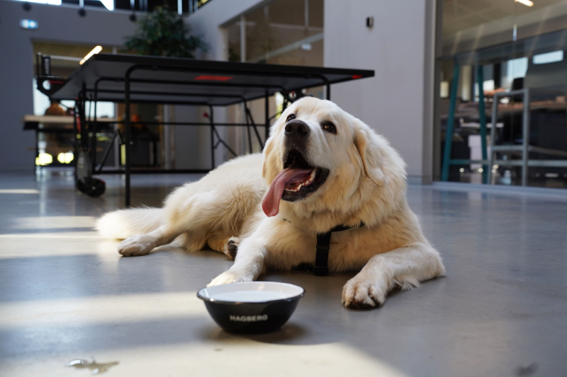 image image - 2025-11-21T151733.258.jpg